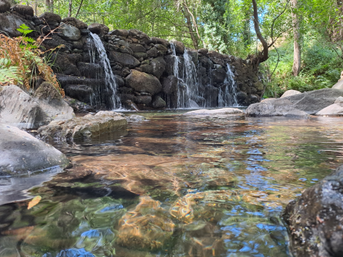 Kleine waterval over stenen muur bij Quinta das Corujeiras glamping, omgeven door groene natuur en bomen.