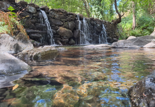 Pequeñas cascadas de piedra en Quinta das Corujeiras glamping, rodeadas de naturaleza y árboles verdes.