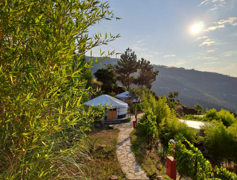 Chemin en pierre menant à une yourte de glamping à Quinta das Corujeiras, entourée de verdure sous le soleil.