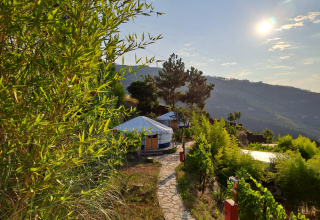 Sentiero lastricato verso una yurta glamping a Quinta das Corujeiras, tra la natura verde e le colline al sole.
