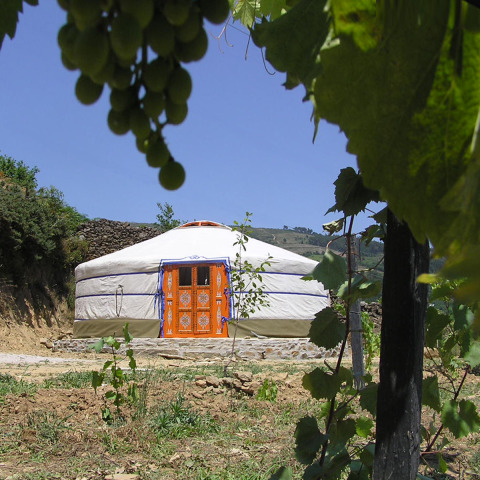 Glamping-yurt met sierlijke oranje deur bij Quinta das Corujeiras, omgeven door wijngaarden in de natuur.