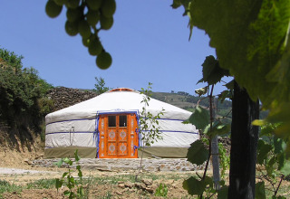 Glamping yurt with an ornate orange door at Quinta das Corujeiras, surrounded by grapevines under blue sky.