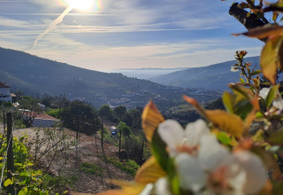 Smuk udsigt over dalen og glamping på Quinta das Corujeiras med blomster i forgrunden og sol på himlen.