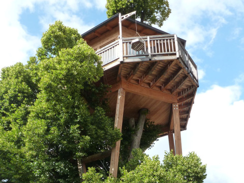 Baumhaus Hotel Prechtlhof – a unique glamping treehouse accommodation in Austria, nestled among leafy trees.