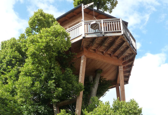 Baumhaus Hotel Prechtlhof: glamping en casa del árbol Boomhut Austria, alojamiento entre frondosos árboles verdes.