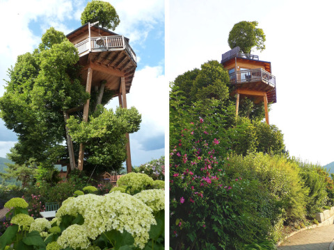 Hébergement glamping Baumhaus Hotel Prechtlhof, une maison dans les arbres spectaculaire entourée de verdure en Autriche.