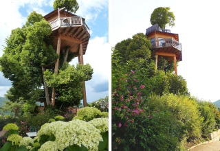 Hébergement glamping Baumhaus Hotel Prechtlhof, une maison dans les arbres spectaculaire entourée de verdure en Autriche.