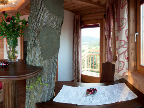 Binnenzicht van glampingaccommodatie Baumhaus Hotel Prechtlhof in Oostenrijk met boom in de kamer.