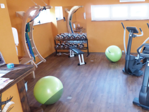 Fitnessrum på Baumhaus Hotel Prechtlhof i Østrig med vægte, træningsbolde og udstyr til gæsterne.