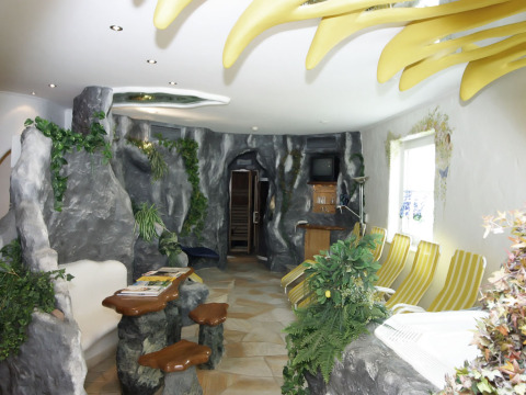 Intérieur de glamping original au Baumhaus Hotel Prechtlhof avec rochers, plantes vertes et chaises longues.