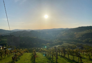 Zonsondergang boven wijngaarden bij Brezza di sera agriturismo - Glampingtenten Le Marche glampinglocatie.