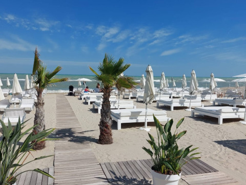 Spiaggia con lettini bianchi, palme e ombrelloni a Glampingtenten Le Marche, Brezza di sera agriturismo.