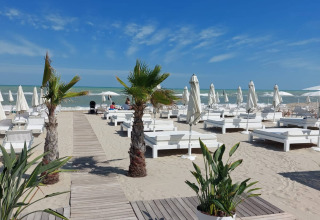 Strand met witte ligbedden, palmbomen en parasols bij Glampingtenten Le Marche, Brezza di sera agriturismo.