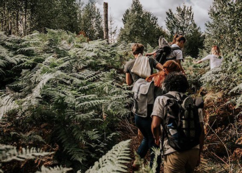 Groep wandelaars met rugzakken door dicht bos nabij Nordic Woods - Wildernis Glamping Zweden