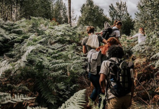 Groep wandelaars met rugzakken door dicht bos nabij Nordic Woods - Wildernis Glamping Zweden