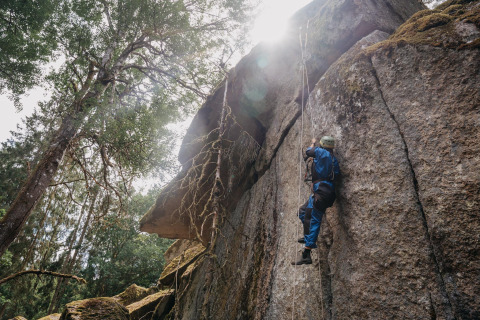 Persoon klimt tegen een rotswand in het bos bij Nordic Woods - Wildernis Glamping Zweden in zonlicht.