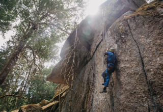 Persoon klimt tegen een rotswand in het bos bij Nordic Woods - Wildernis Glamping Zweden in zonlicht.