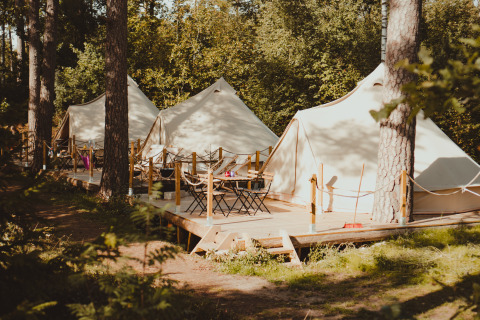 Luxe glamping tenten op houten vlonders in het bos bij Nordic Woods - Wildernis Glamping Zweden.
