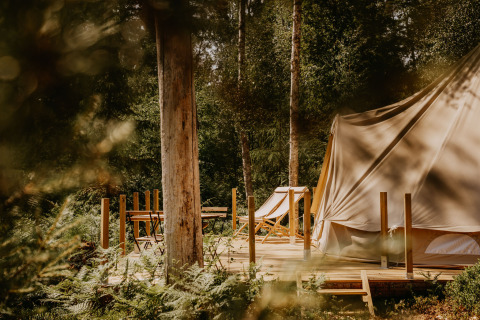 Glamping accommodatie bij Nordic Woods - Wildernis Glamping Zweden, tent en terras in het bos.