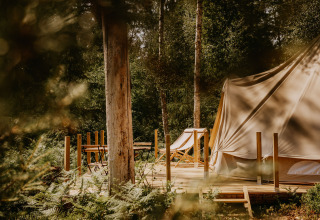 Glamping accommodatie bij Nordic Woods - Wildernis Glamping Zweden, tent en terras in het bos.