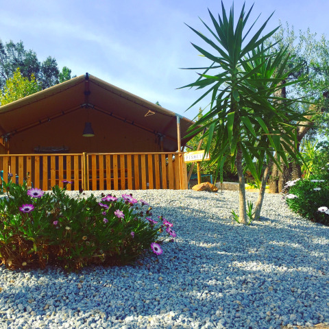 Glamping accommodation Quinta do Cascalhal in Braga with safari tent, gravel garden, flowers, and palm.