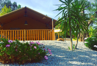 Alloggio glamping Quinta do Cascalhal a Braga con tenda safari, giardino di ghiaia, fiori e palma.