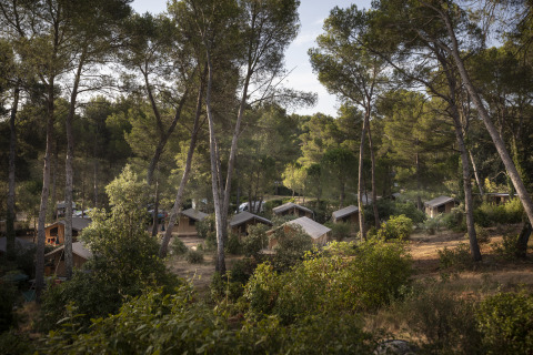 Tiendas de glamping entre pinos en Huttopia Fontvieille – Glamping Provence, entorno natural y forestal.