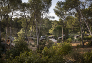 Tende glamping immerse tra i pini di Huttopia Fontvieille – Glamping Provence in un ambiente boschivo.