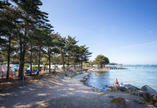 Campingplatz Huttopia Noirmoutier - Glamping Vendée mit Zelten und Wohnmobilen unter Bäumen am Strand.
