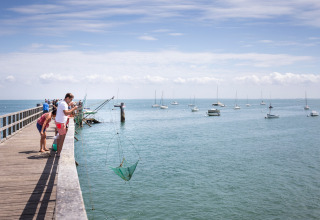 Des familles pêchent sur une jetée en bois face aux voiliers à Huttopia Noirmoutier - Glamping Vendée.