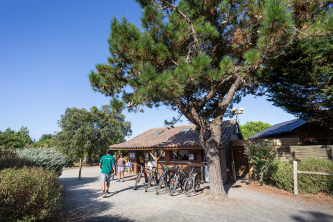 Glamping-indkvartering i Huttopia Noirmoutier - Glamping Vendée med cykler og afslappet stemning under træer.