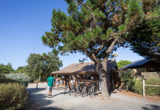 Sistemazione glamping a Huttopia Noirmoutier - Glamping Vendée con bici e atmosfera rilassata sotto i pini.