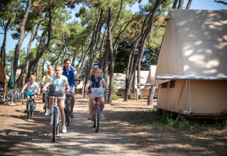 Family riding bicycles through the glamping tents at Huttopia Noirmoutier on a forested campsite in Vendée.