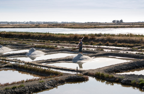 Un operaio raccoglie sale nelle saline vicino a Huttopia Noirmoutier - Glamping Vendée.