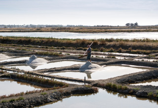En arbejder samler salt i traditionelle saltbassiner nær Huttopia Noirmoutier - Glamping Vendée.