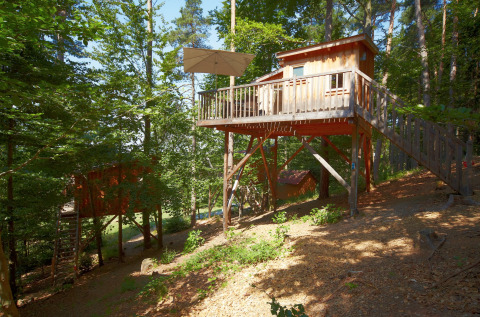 Treehouse glamping at Baumpalast Boomhutten, Baden-Württemberg, nestled in woods with spacious terraces.