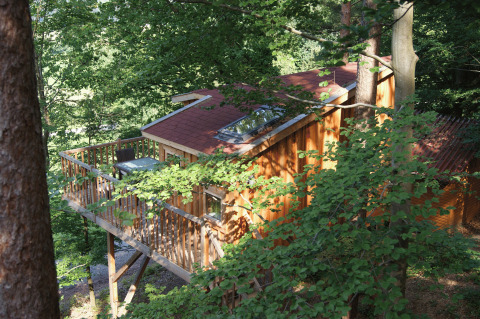 Treehouse glamping accommodation at Baumpalast Boomhutten, surrounded by forest in Baden-Württemberg.