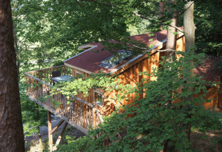 Treehouse glamping accommodation at Baumpalast Boomhutten, surrounded by forest in Baden-Württemberg.