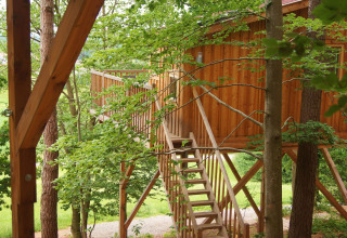 Treehouse accommodation on stilts in a lush forest at Baumpalast Boomhutten, Baden-Württemberg.