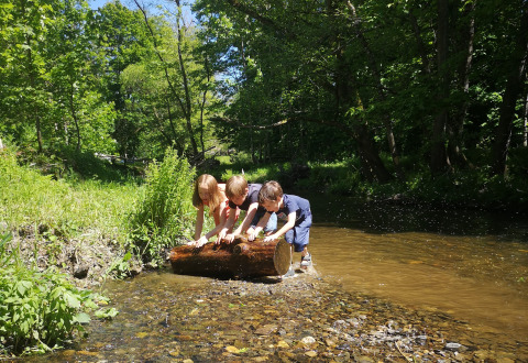 Kinder spielen an einem Bach im Grünen unter Bäumen und Sonne, Camping de Marcourt, Belgisch Luxemburg.
