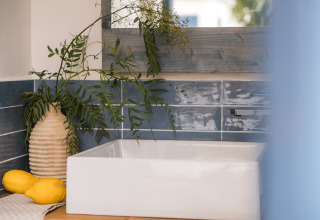 Modern bathroom sink with leafy greens in a vase and lemons at PROCIDA Camp & Resort - Luxe airstreams.