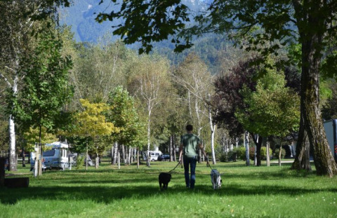Een persoon wandelt met twee honden op het gras van Camping Rosental Rož - Stacarvans Karinthië temidden van bomen.