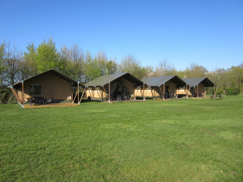 Familiecamping Hendriks Wijkje - Safaritenten Drenthe: Glamping safari tents on a grassy field in the countryside.