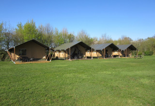 Familiecamping Hendriks Wijkje - Safaritenten Drenthe: tende safari glamping su prato verde nella natura.