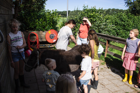 Children and adults gather around a small pony at Familiecamping Hendriks Wijkje - Safaritenten Drenthe.