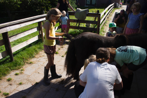 Children are learning about animals at Familiecamping Hendriks Wijkje - Safaritenten Drenthe campsite.