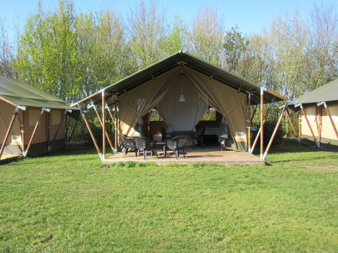 Familiecamping Hendriks Wijkje glamping en Drenthe con tiendas safari para disfrutar cómodamente de la naturaleza.