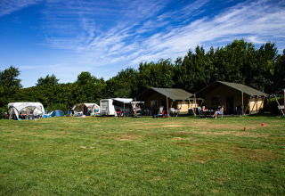 Camping familial Hendriks Wijkje à Drenthe avec tentes safari, caravanes et ambiance conviviale.