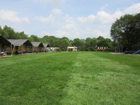 Campeggio familiare Hendriks Wijkje a Drenthe con tende safari, prato ampio e area giochi all’aperto.