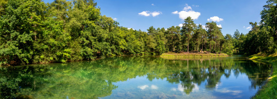See bei Zeist, Utrechtse Heuvelrug, Utrecht, Niederlande